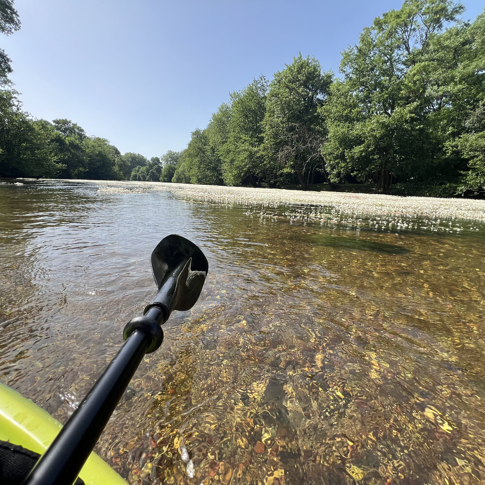 Pagaie de canoë au-dessus de l'eau claire du Loiret
